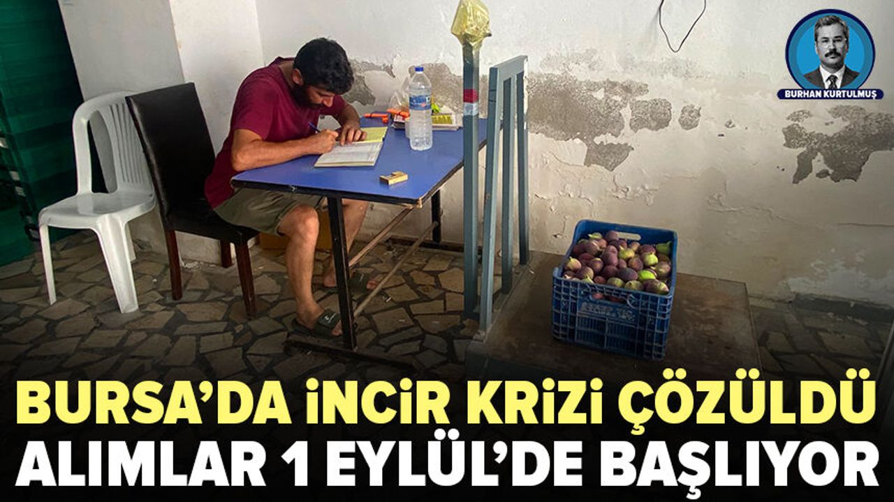 Bursa'da incir krizi sona eriyor: Alımlar 1 Eylül'de Bursa'da incir krizi sona eriyor: Alımlar 1 Eylül'de