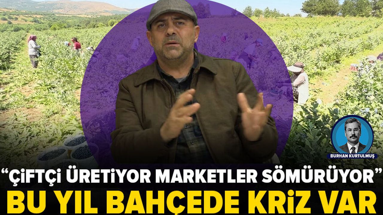 Uludağ Blueberry Derneği: Çiftçi Üretiyor, Marketler Sömürüyor