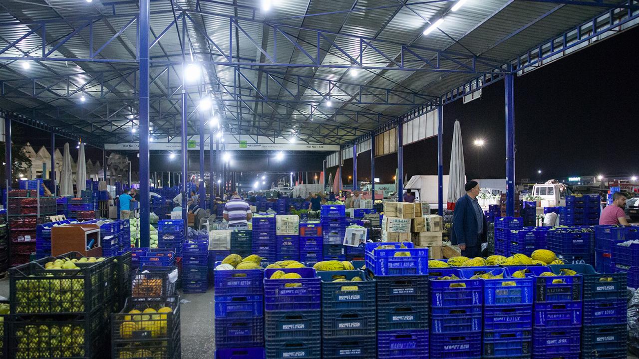 Türkiye'nin yaş meyve ihracatı, 7 ayda 1 milyar doları aştı
