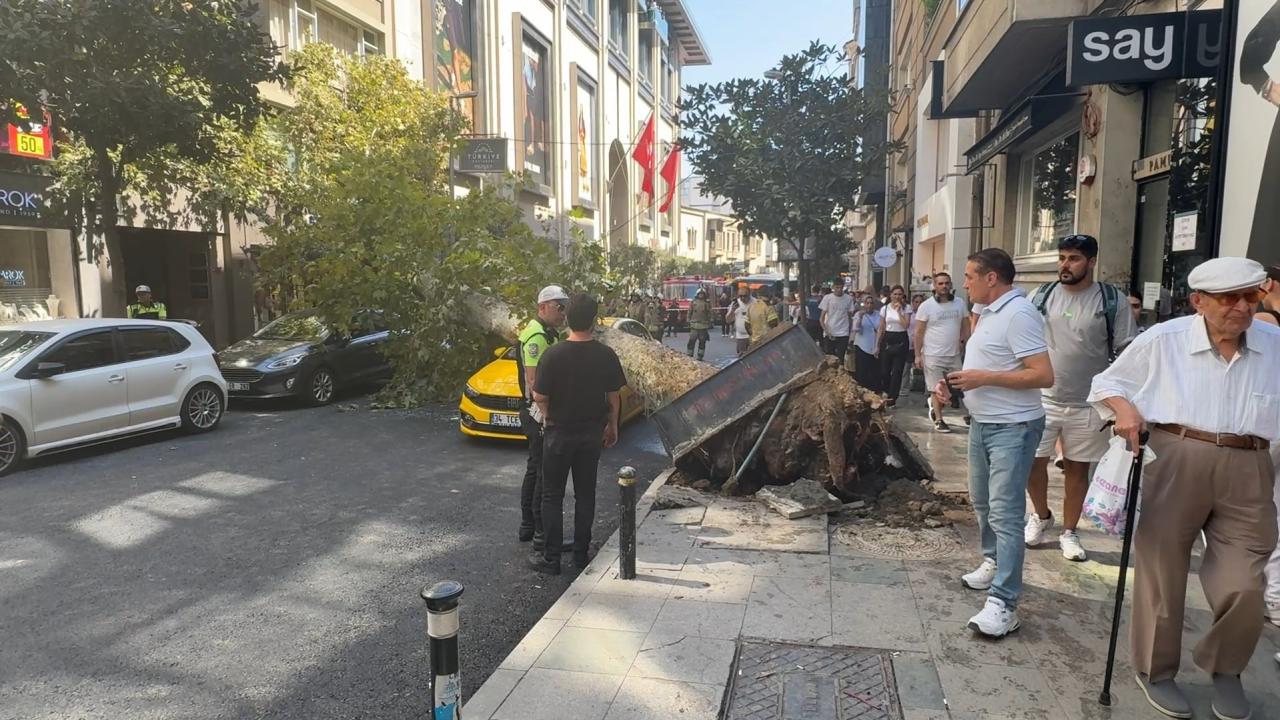 Şişli'de devrilen ağaç, park halindeki 2 araca zarar verdi