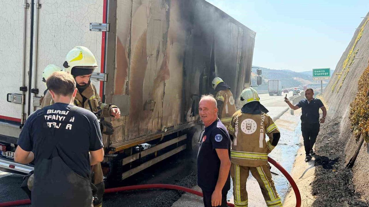Canlı hayvan nakil aracı Gemlik'te yangın çıkardı, facia önlendi