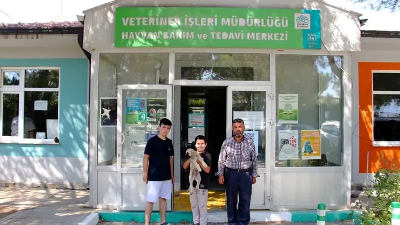 Nilüfer Belediyesi, Dünya Köpek Günü'nde köpekler için yuva arıyor