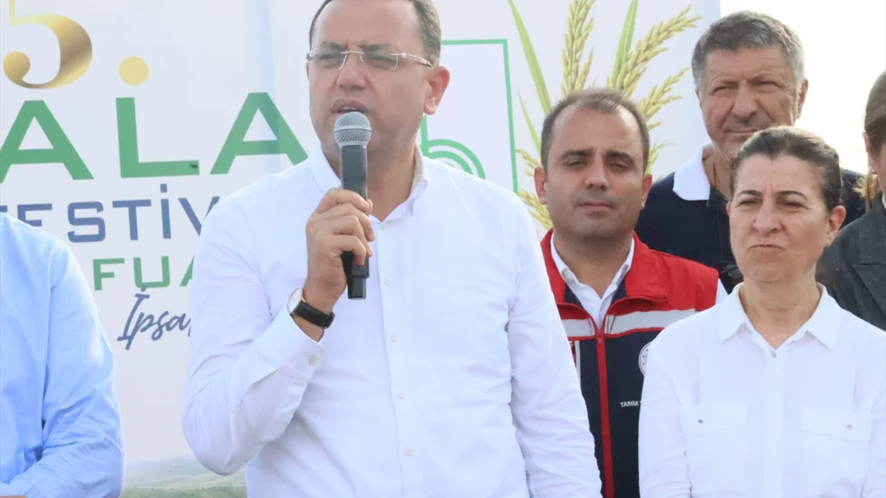 Edirne'de çeltik hasadı başladı: Yüksek verim bekleniyor
