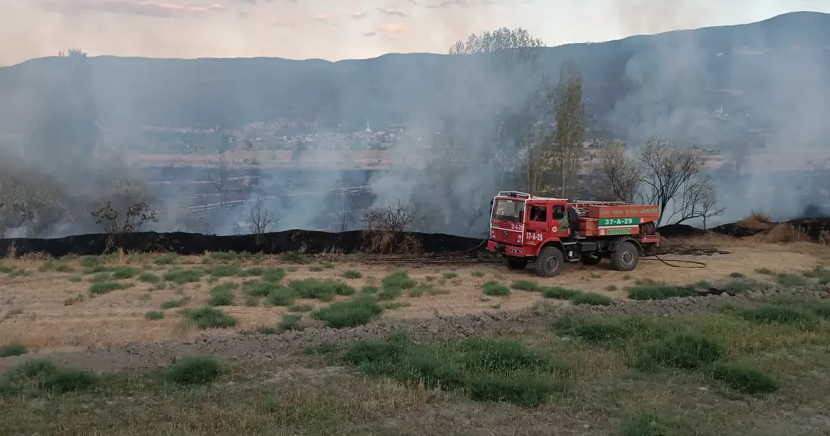 Tosya'da anız yangını: 400 dekar tarım arazisi yandı