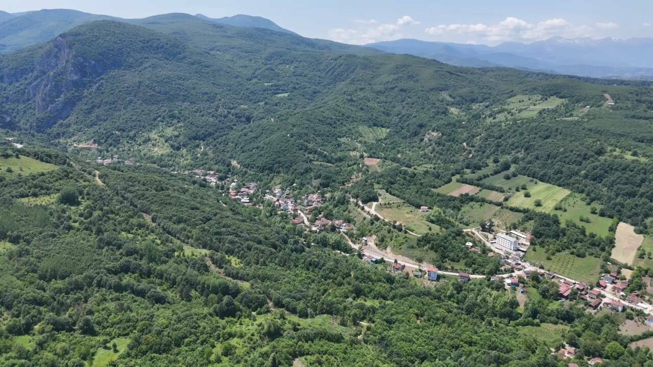 Bursa'da orman köylerinde tapu iptalleri sona eriyor: 17 milyon metrekare kurtulacak