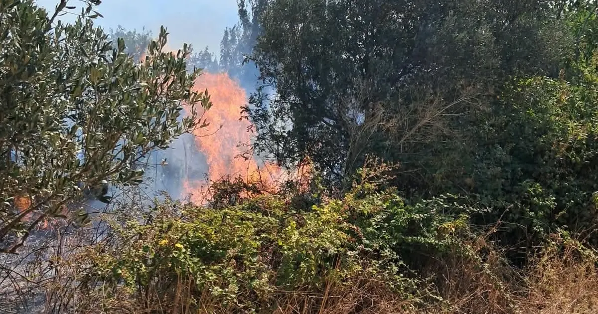 Bursa'da iki ayrı ot yangını kontrol altına alındı: 1 baraka etkilendi