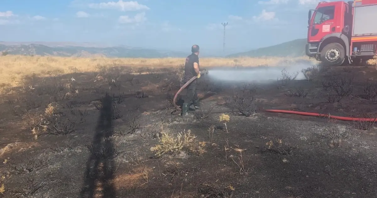 Bingöl'de çıkan yangınlar sonrası ekipler incelemelere başladı