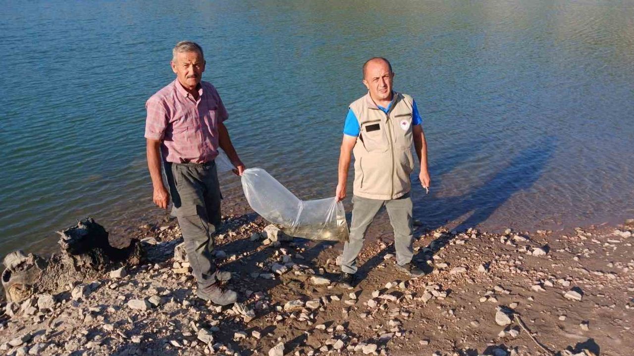 Bursa'da balıklandırma çalışmaları: 1 milyon sazan yavrusu bırakılacak