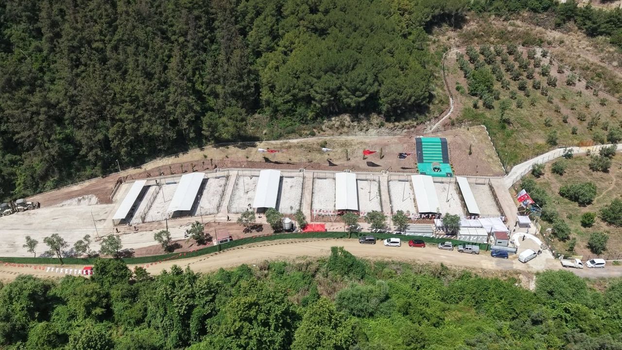 Gemlik Belediyesi, hayvan bakımevi görüntülerini açıkladı