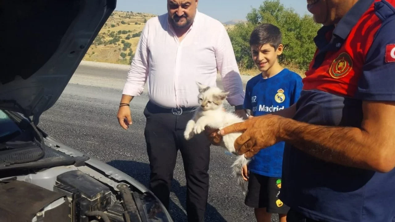 Besni'de itfaiye ekipleri otomobilin motoruna sıkışan kediyi kurtardı