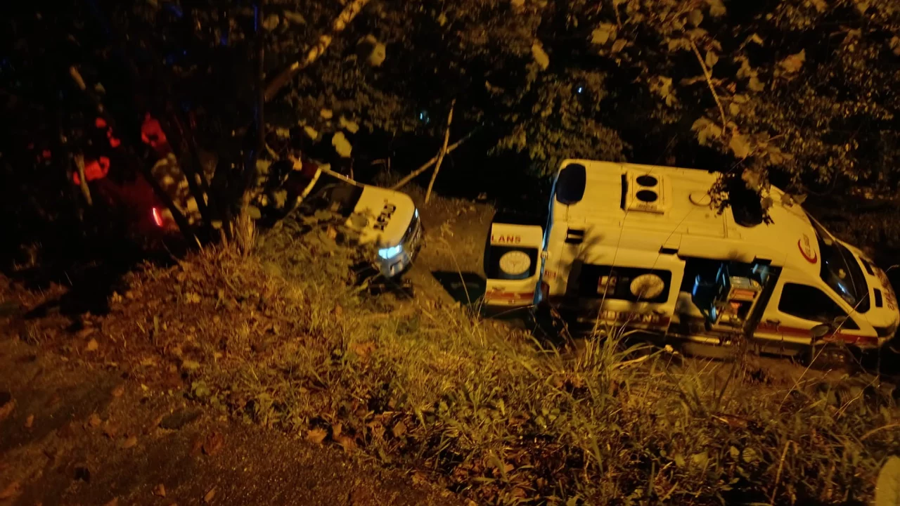 Çayeli'nde park sırasında araç uçuruma düştü: 2 kişi hayatını kaybetti