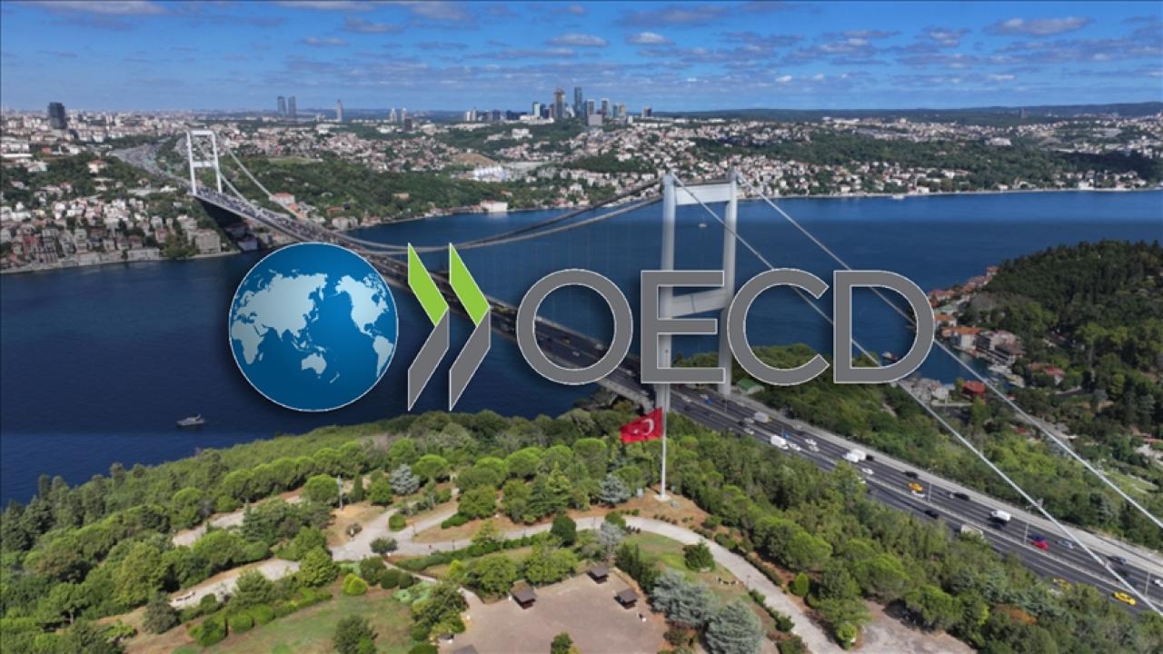 OECD, Türkiye'nin eğitim sistemine destek veriyor: İki yeni proje