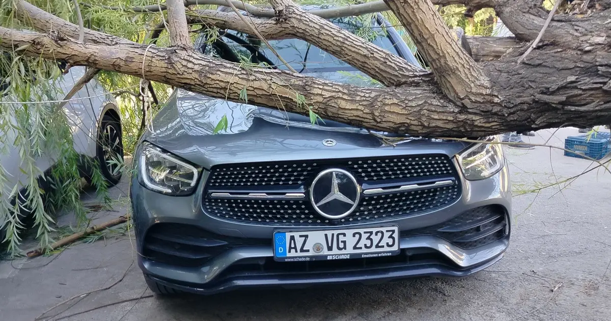 Elazığ’da fırtına: Park halindeki araçların üzerine ağaç devrildi Elazığ’da fırtına: Park halindeki araçların üzerine ağaç devrildi