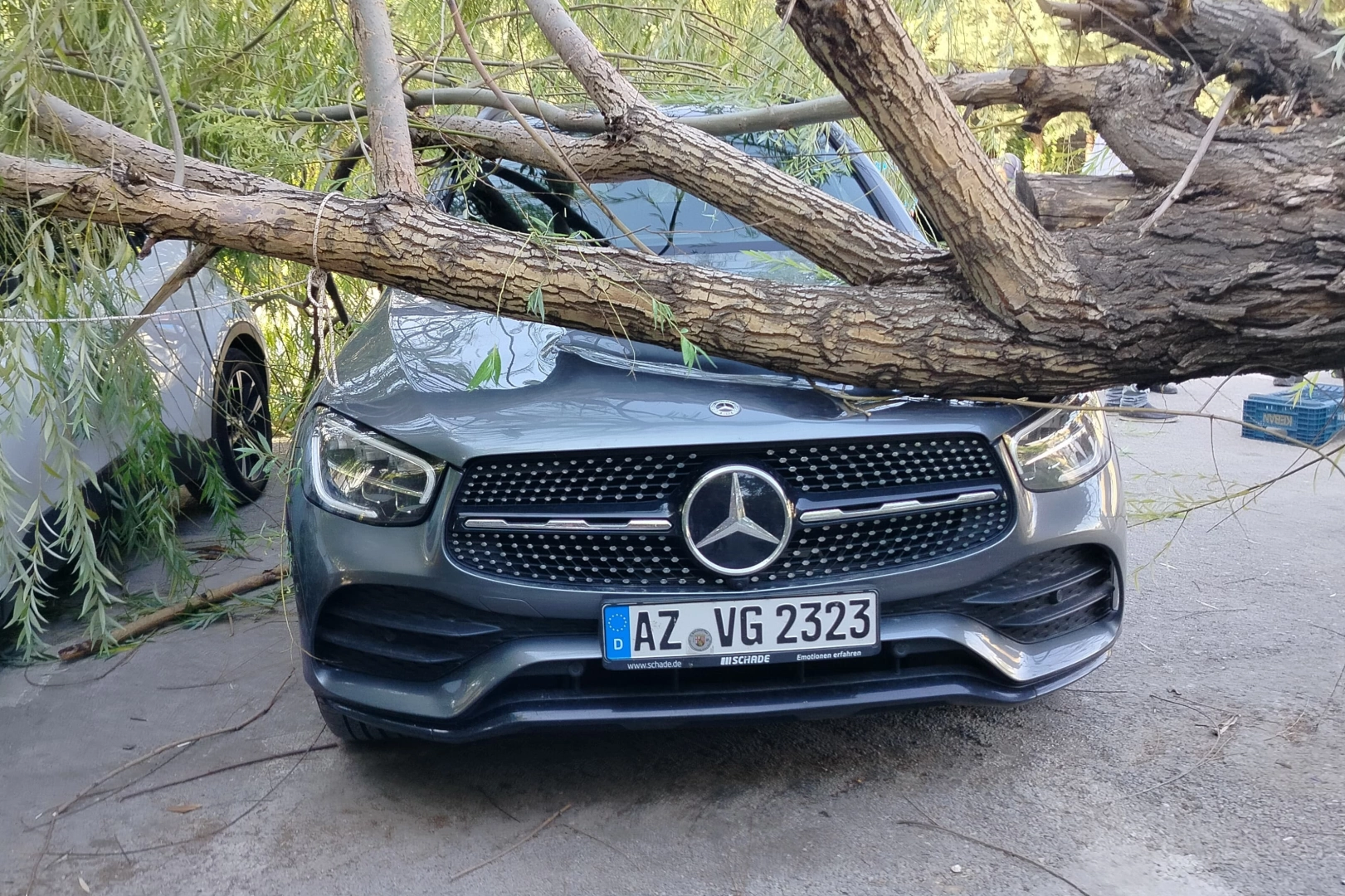 Elazığ’da fırtına: Park halindeki araçların üzerine ağaç devrildi
