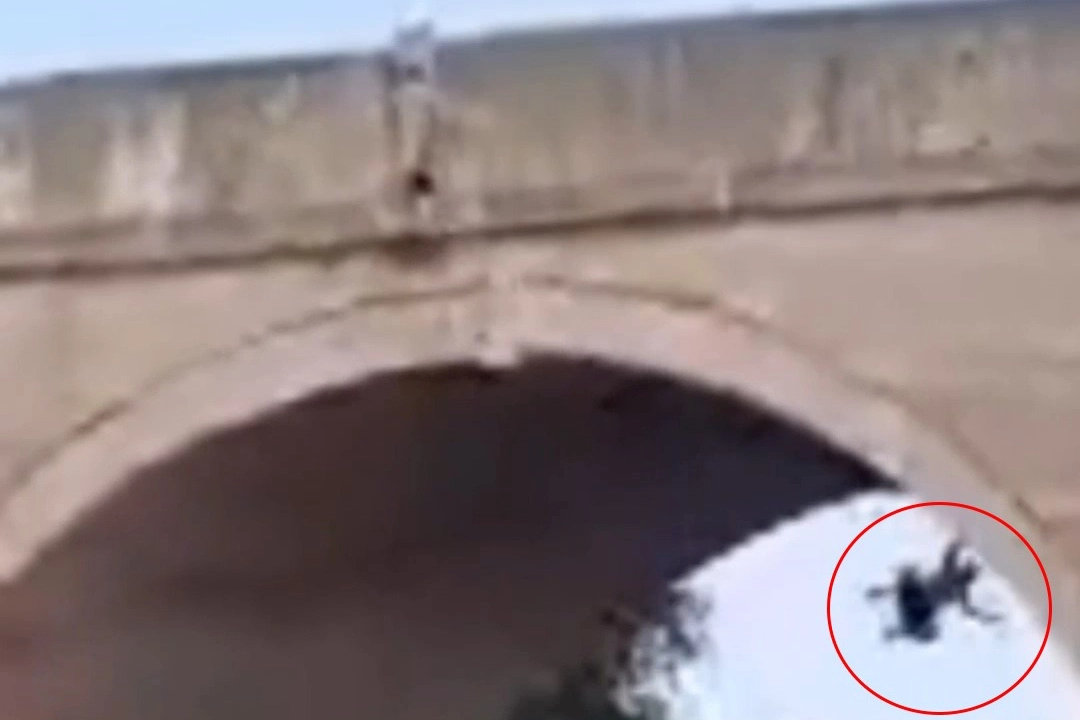 Meriç Nehri'nde köprüden düşen vatandaş gezi teknesiyle kurtarıldı Meriç Nehri'nde köprüden düşen vatandaş gezi teknesiyle kurtarıldı