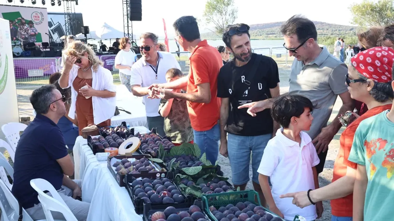 Bursa'da İncir Festivali, 12 Eylül'de Akçalar Göl Kıyısı'nda gerçekleşecek