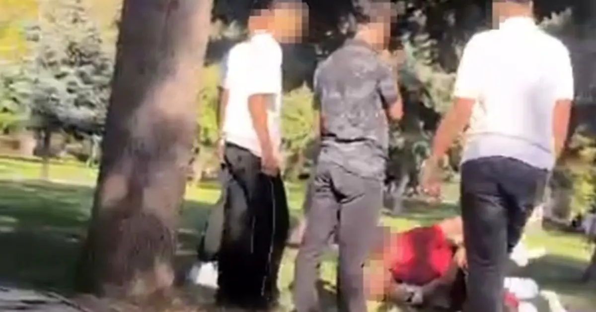 Malatya'da 17 yaşındaki çocuğa parkta saldırı: 2 çocuk gözaltına alındı Malatya'da 17 yaşındaki çocuğa parkta saldırı: 2 çocuk gözaltına alındı