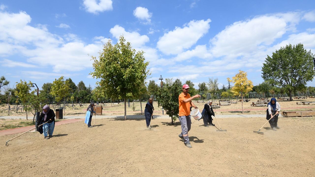 Osmangazi'de Soğanlı Millet Parkı'nda yeşil alan çalışmaları başladı