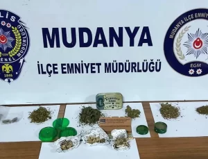 Mudanya’da ‘Sihirli Mantar’ Operasyonu: 1 Kişi Gözaltına Alındı