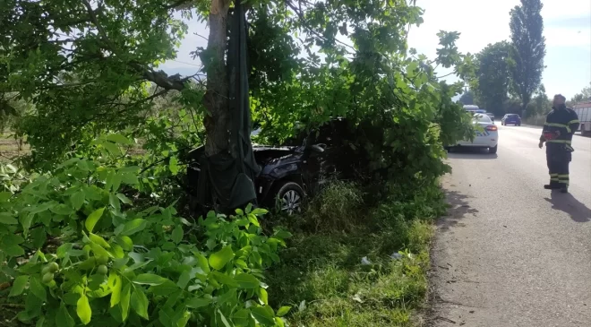 Bursa’da Kamyonetin Ağaca Çarpması Sonucu Sürücü Yaralandı