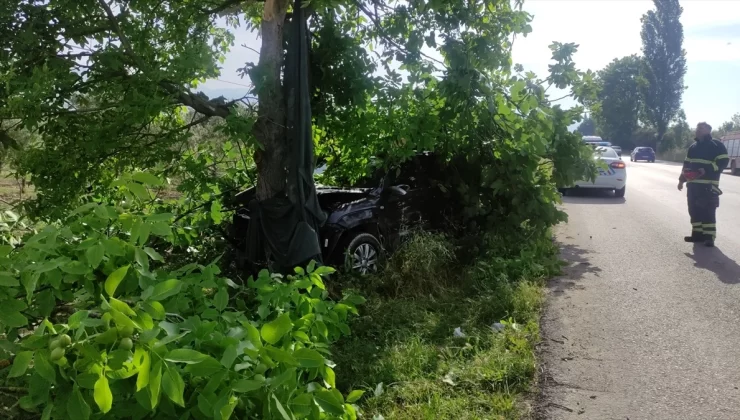 Bursa’da Kamyonetin Ağaca Çarpması Sonucu Sürücü Yaralandı