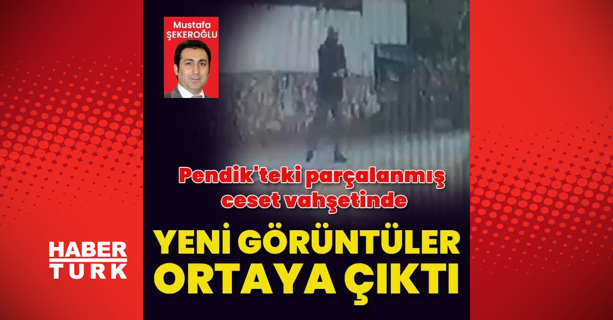 Pendik'te parçalanmış ceset vahşetinde şüphelinin yeni görüntüleri dosyaya girdi